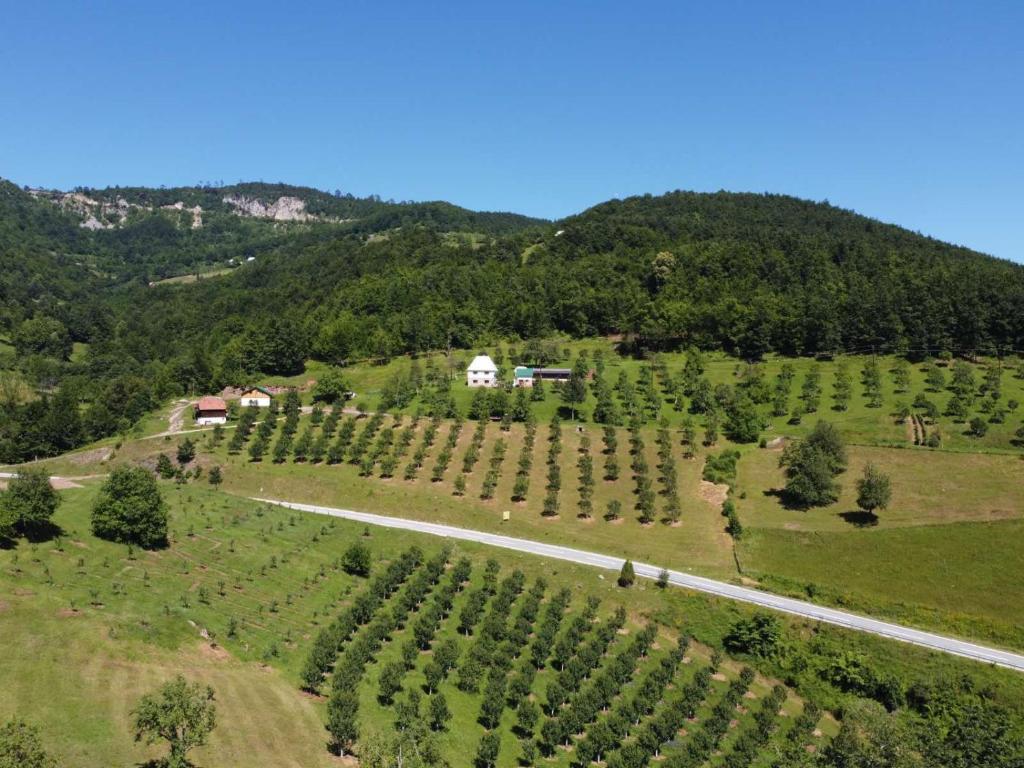 una vista aérea de un viñedo con una carretera en Kljajevica Orchard en Pljevlja