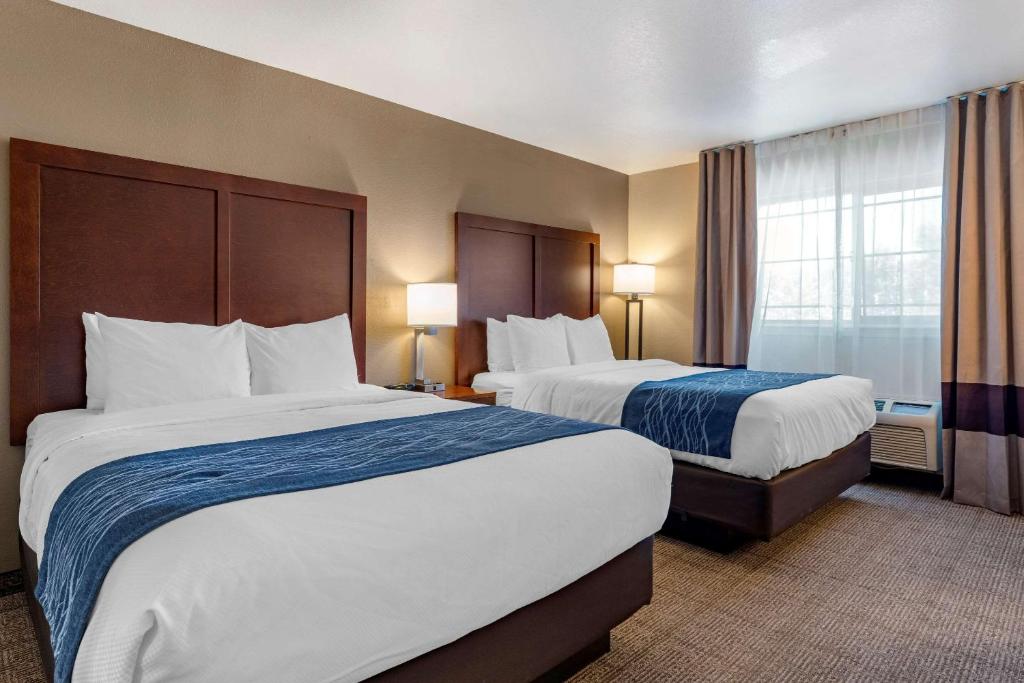 Habitación de hotel con 2 camas y ventana en Comfort Inn & Suites Ukiah Mendocino County, en Ukiah