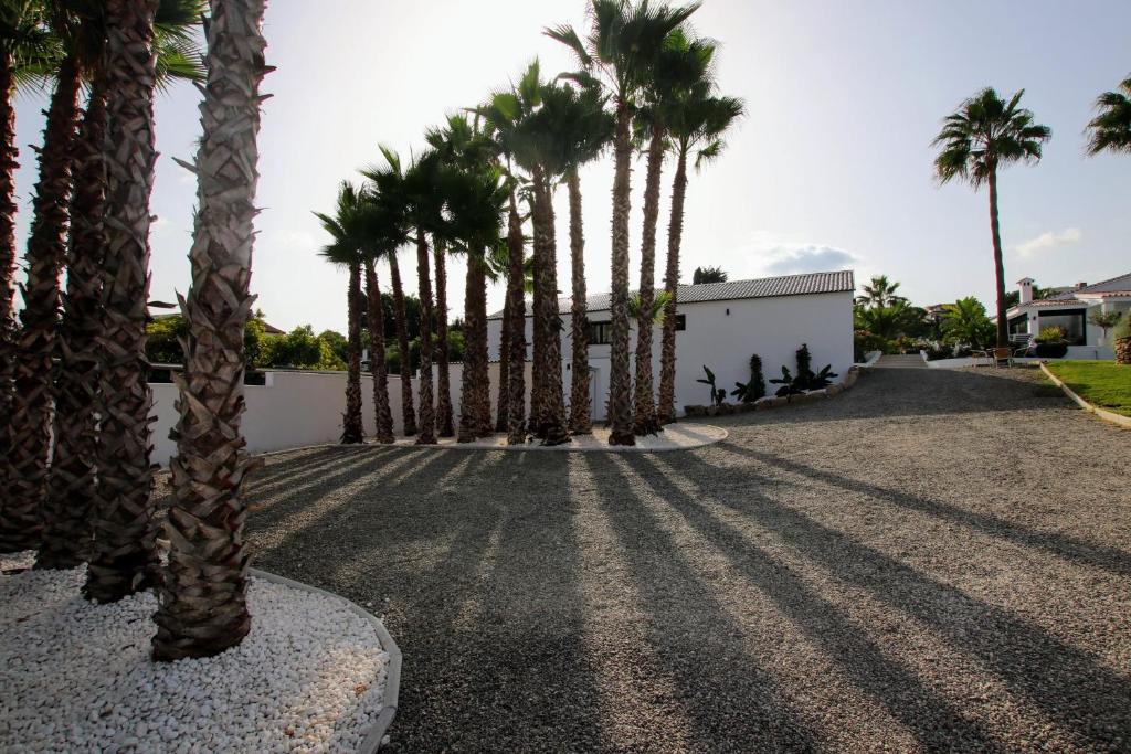 Ogród w obiekcie TESS Villa Le Clos Fleury