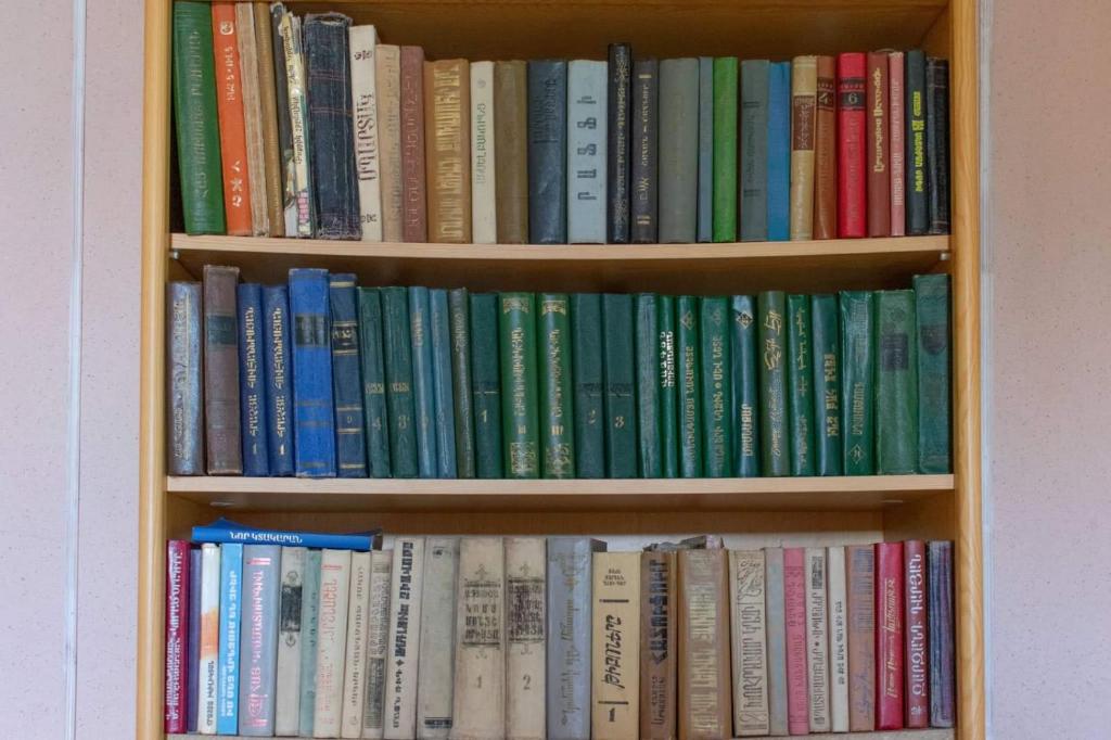 a book shelf filled with lots of books at Guest House in Sevan