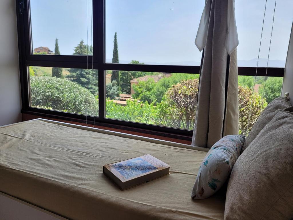 Vonkajšia záhrada v ubytovaní El Mirador del Chispano