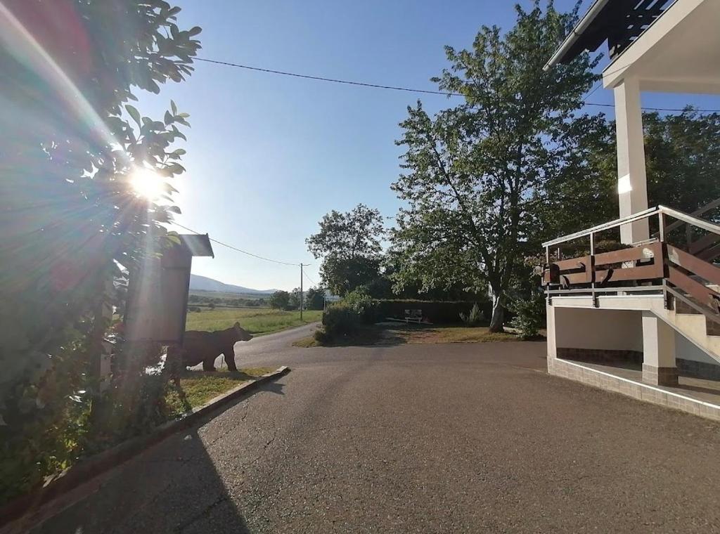 Apartments Luka - 15