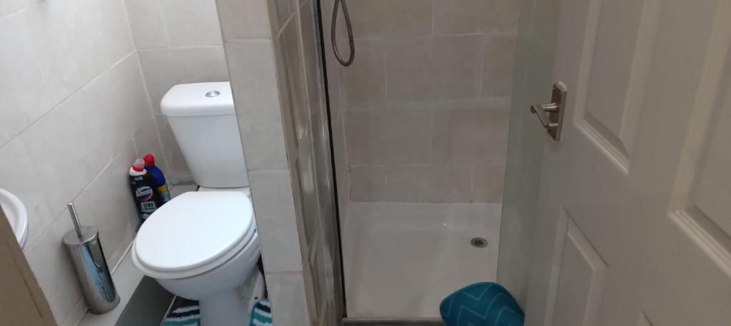 a small bathroom with a toilet and a shower at Lovely 1 bedroom apartment with garden in London