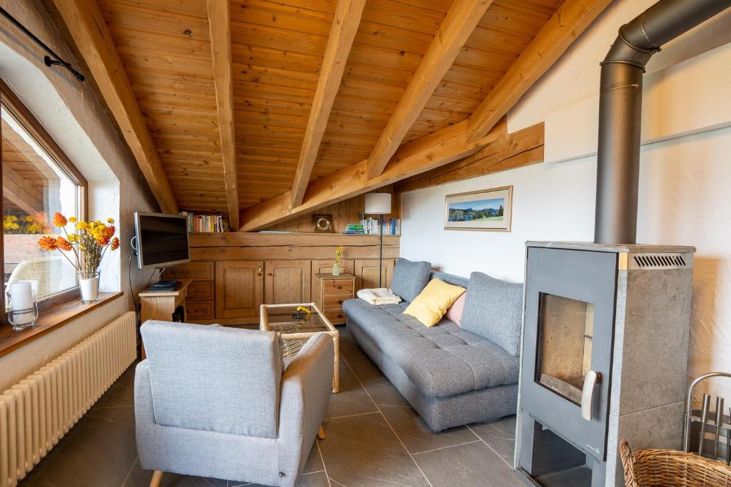 ein Wohnzimmer mit einem Sofa und einem Kamin in der Unterkunft Chalet Grüntenblick in Immenstadt im Allgäu