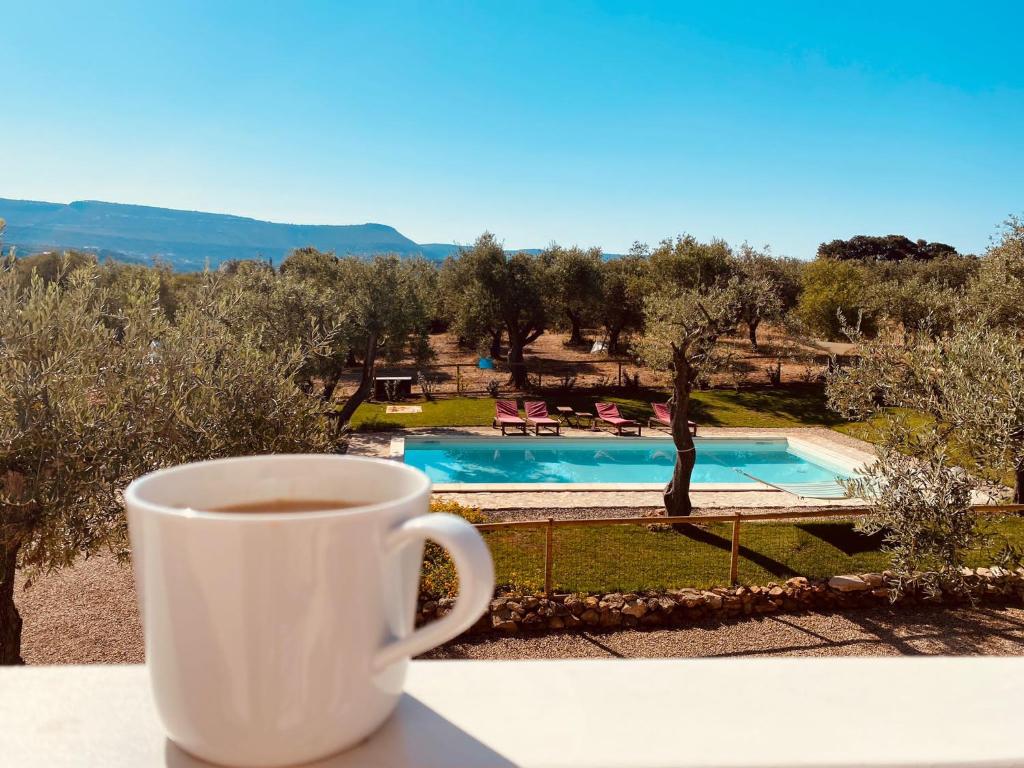 Het zwembad bij of vlak bij Oliveto Bed and Breakfast