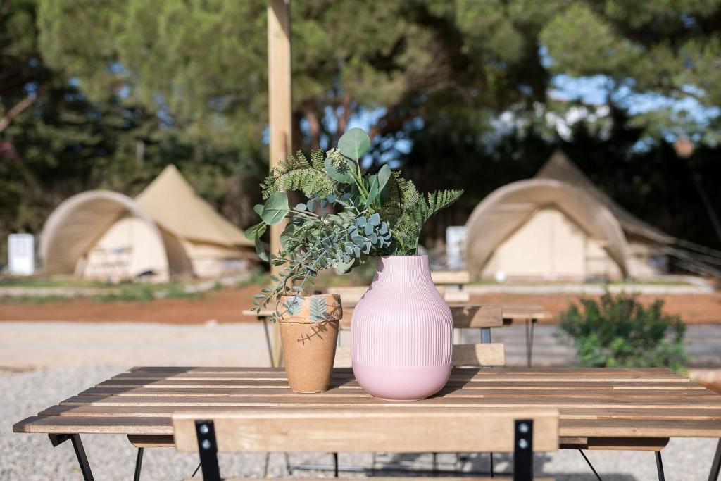 Ogród w obiekcie Glamping La Mimosa CONIL