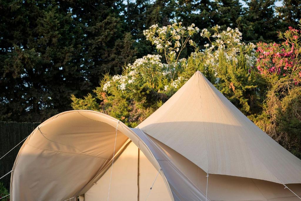 Zdjęcie z galerii obiektu Glamping La Mimosa CONIL w mieście Conil de la Frontera