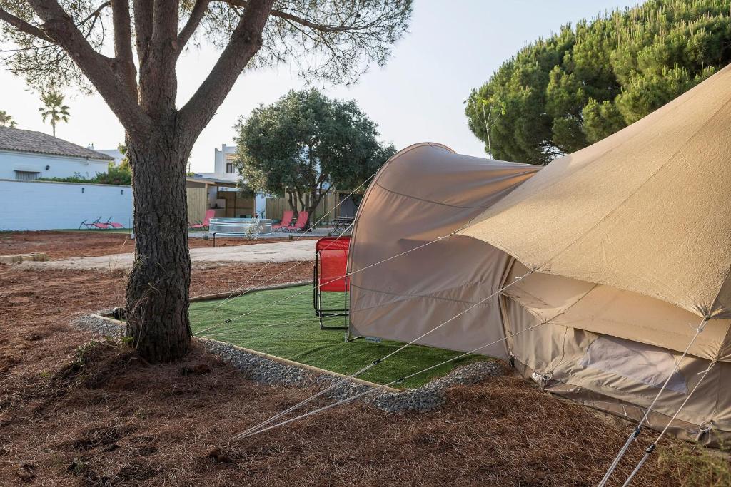 Ogród w obiekcie Glamping La Mimosa CONIL