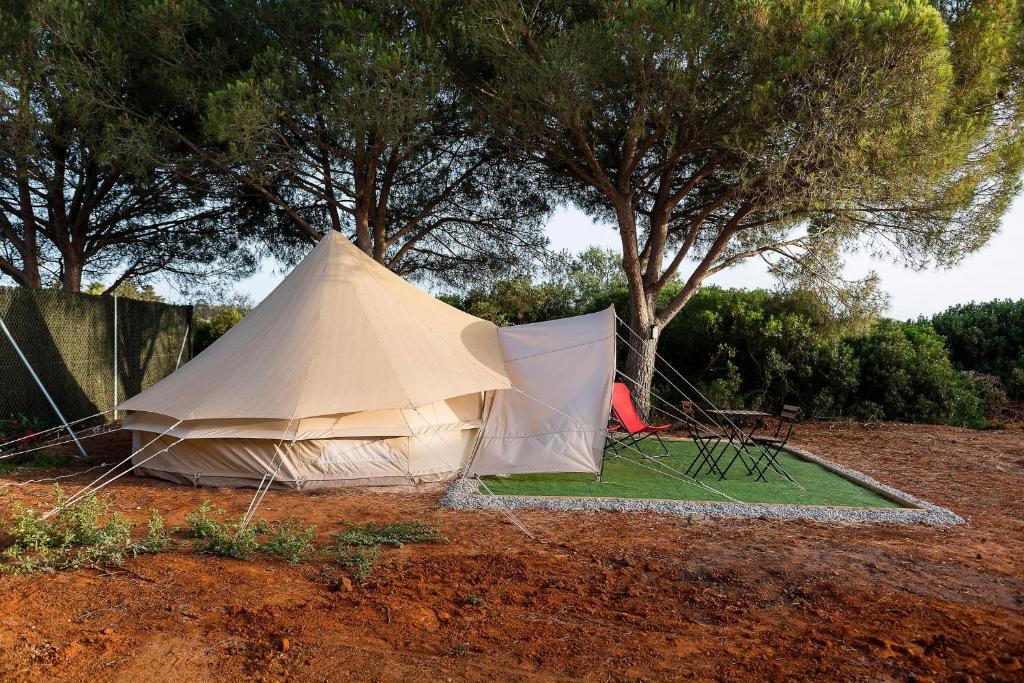 Ogród w obiekcie Glamping La Mimosa CONIL