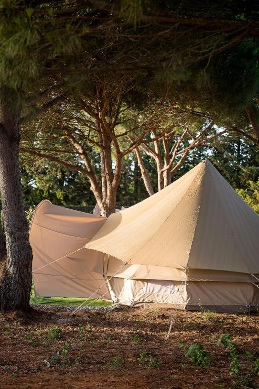 Zdjęcie z galerii obiektu Glamping La Mimosa CONIL w mieście Conil de la Frontera