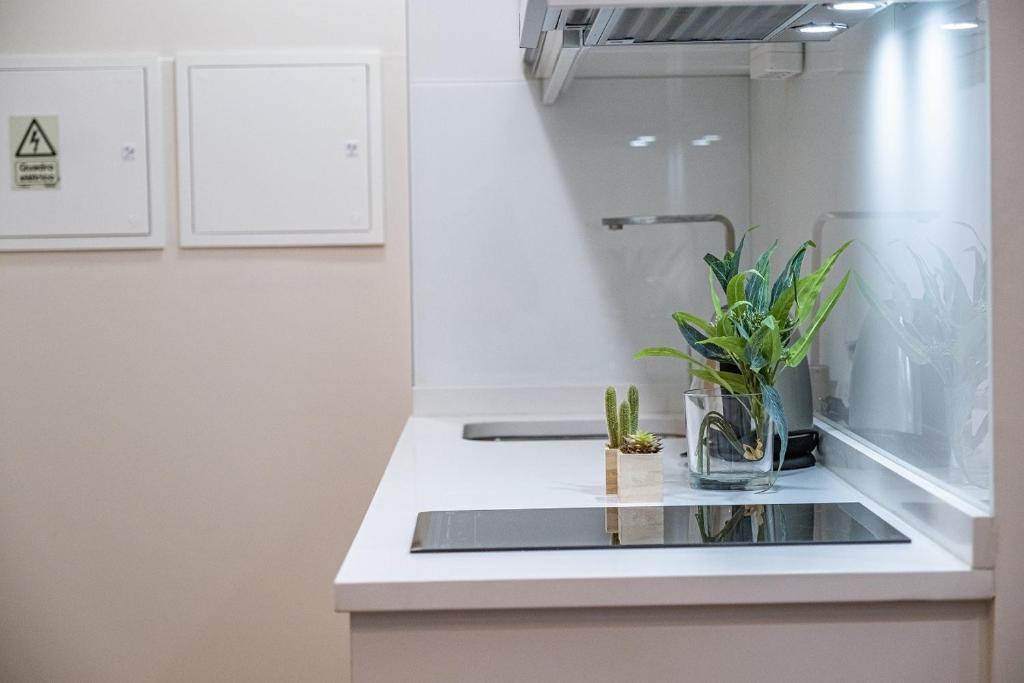 Urban Paradise by Homie - 12