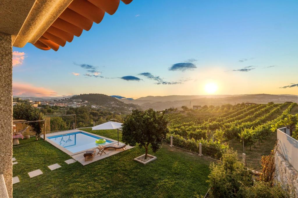 a villa with a pool and a view of a vineyard at Casa do Vitó in Couto