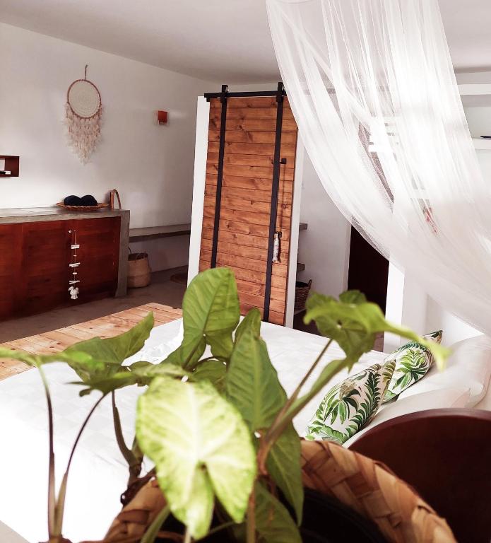 Les Terrasses du Bénitier - 15