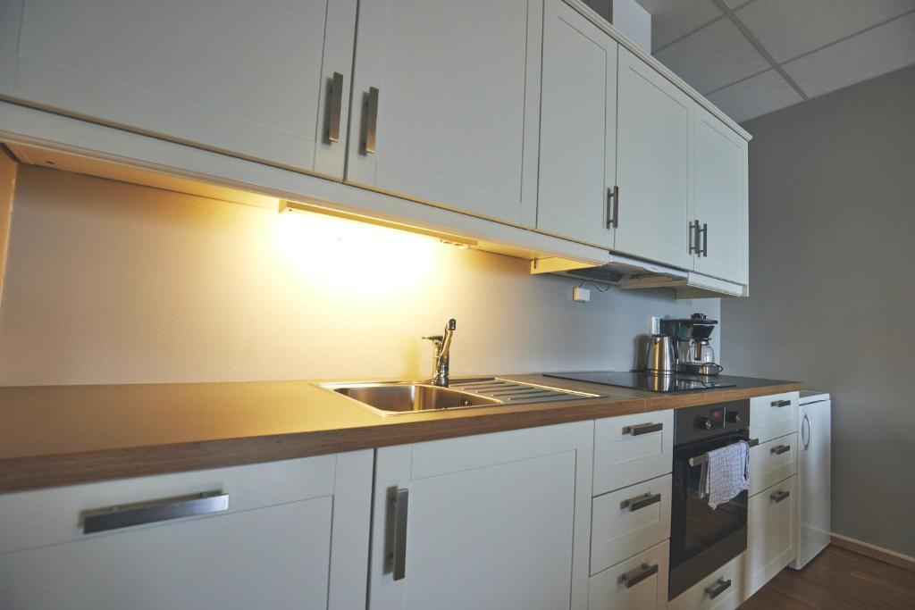 Kuchyň nebo kuchyňský kout v ubytování Hotel Frøya