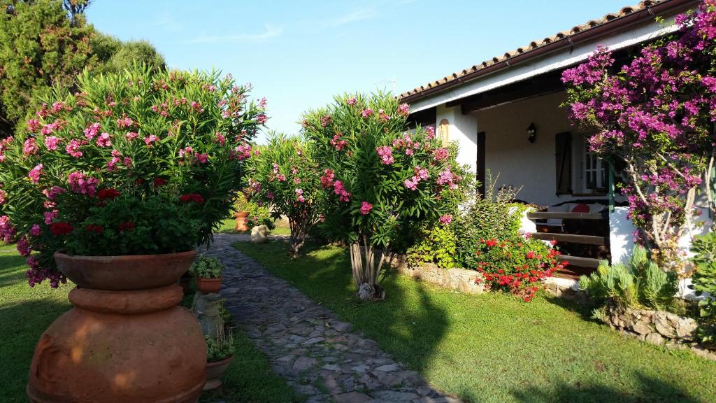 a garden with pink flowers and trees and a house at Villa La Liccia Misia in Santa Teresa Gallura