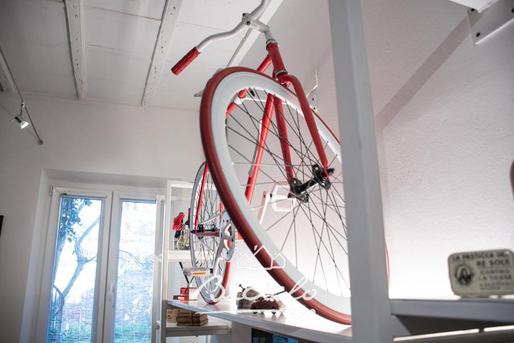 Rowery dostępne w obiekcie Biciclo' Rosso Ferrara lub w pobliżu
