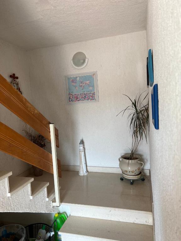 Fotografie z fotogalerie ubytování Apartmani Levarda v Trogiru
