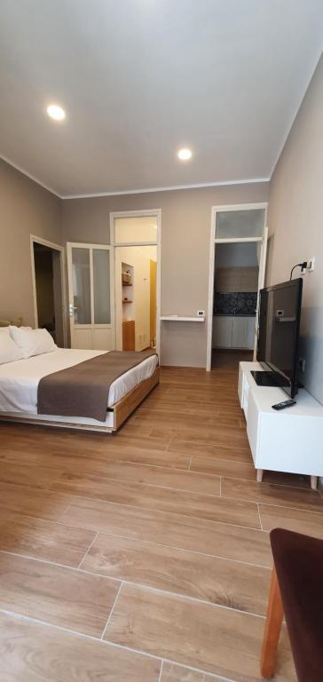 1 dormitorio grande con 1 cama y TV de pantalla plana en nuova vicinissima alla spiaggia, en Terrasini