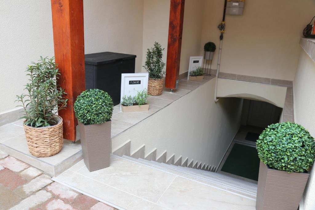 Zahrada ubytování Várfal apartman