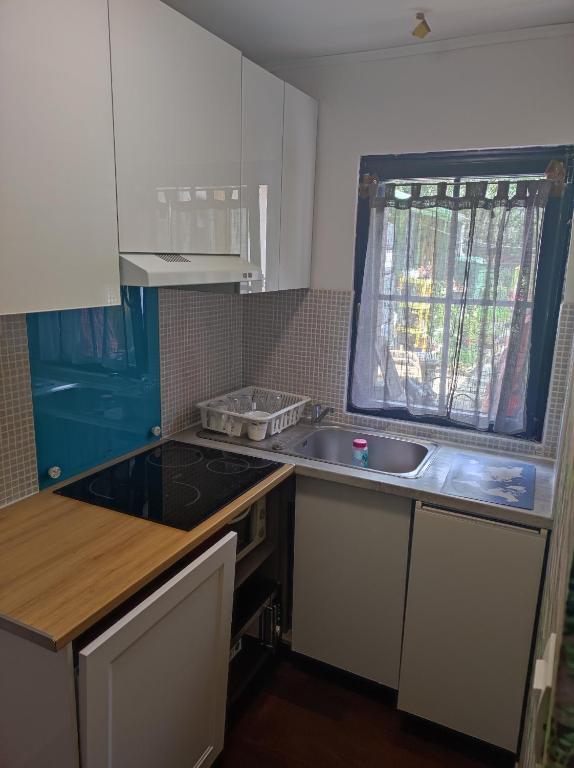a small kitchen with a sink and a stove at Studio indépendant dans un maison in Saint-Denis