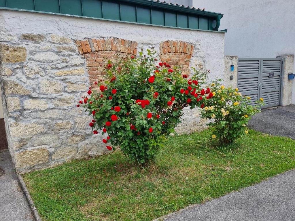 Zahrada ubytování Ferienhaus RADO