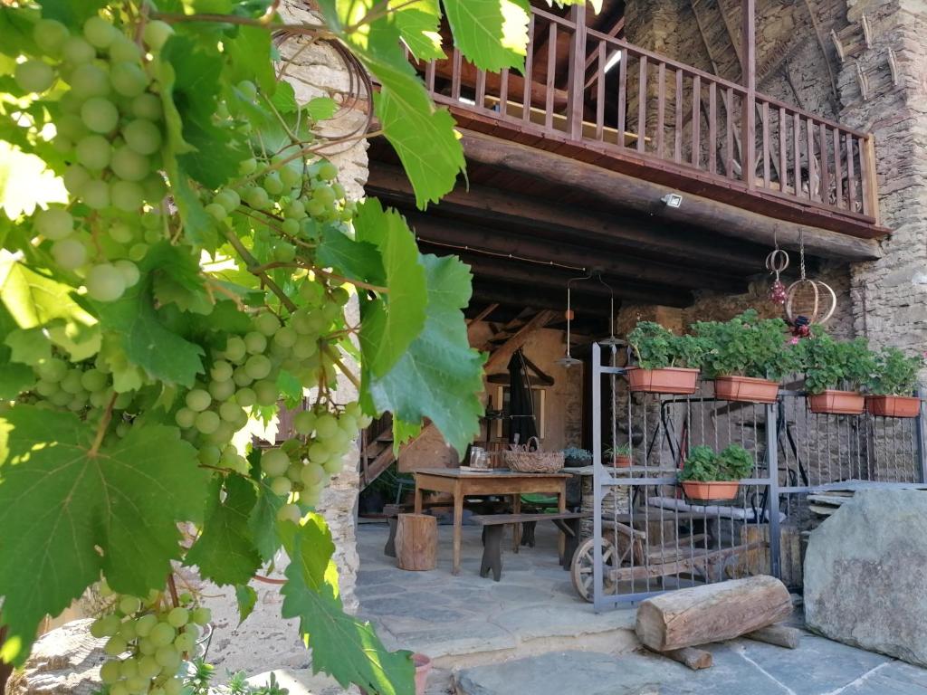 Zimmer mit einem Tisch und einem Balkon mit Trauben in der Unterkunft Ca' di Nobi Podio Val Maira in San Damiano Macra