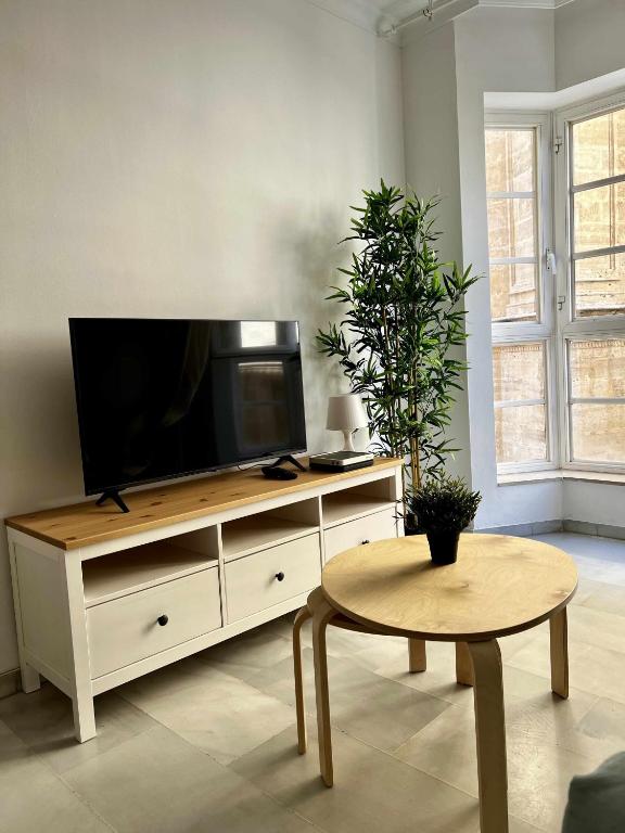 Televízia a/alebo spoločenská miestnosť v ubytovaní Apartamento catedral A