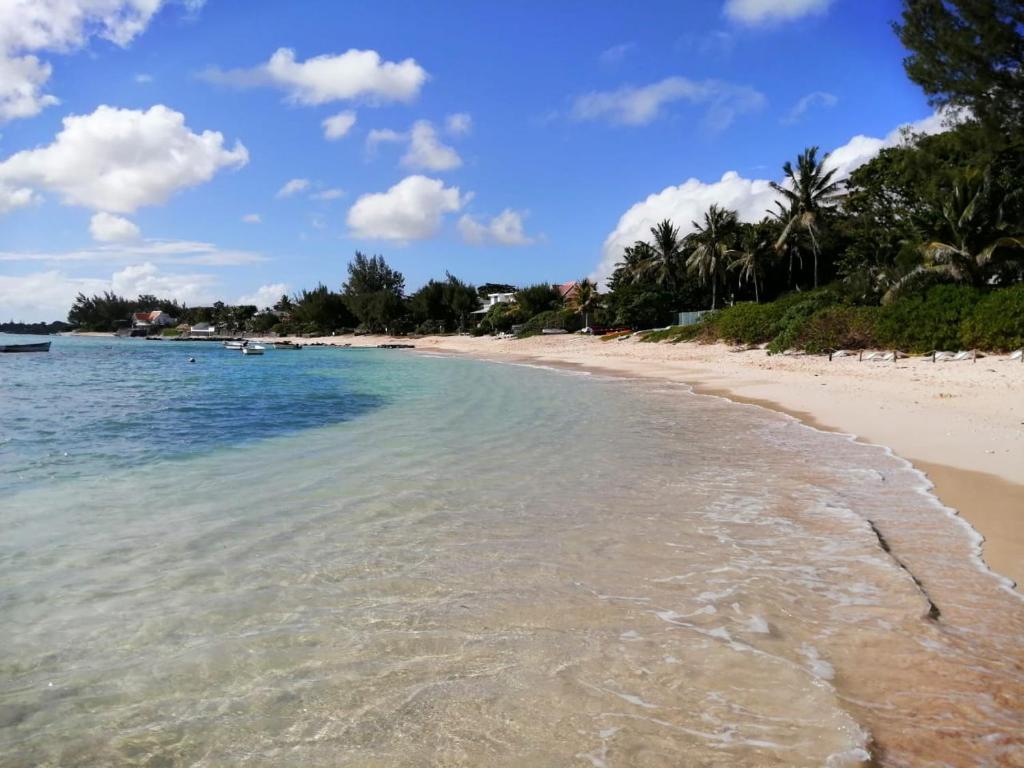 een strand met helder water en palmbomen bij Tropical Palms apartment Mauritius in Pointe aux Cannoniers