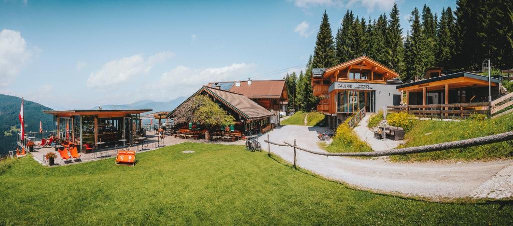 z góry widok na ośrodek z trawnikiem w obiekcie Reitlehenalm w mieście Altenmarkt im Pongau