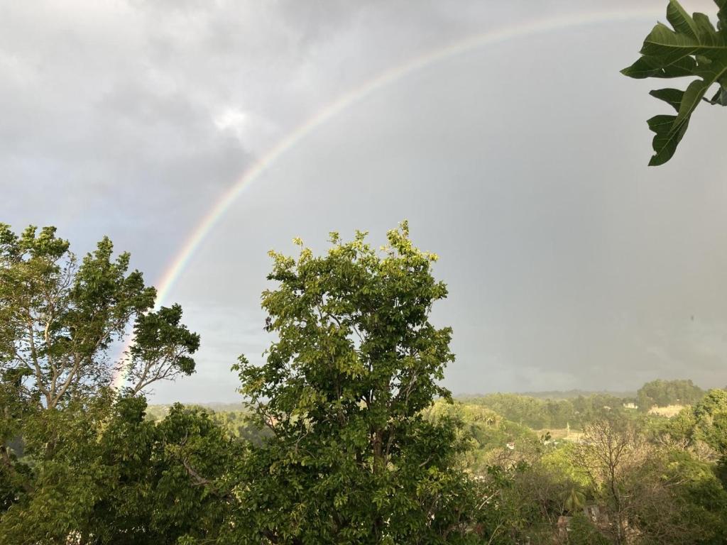 Ein Regenbogen am Himmel über ein paar Bäumen in der Unterkunft Maison du soleil in Les Abymes