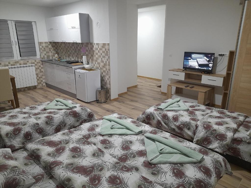 Zimmer mit 2 Betten und einer Küche mit einem TV in der Unterkunft Apartman Zivanovic in Foča
