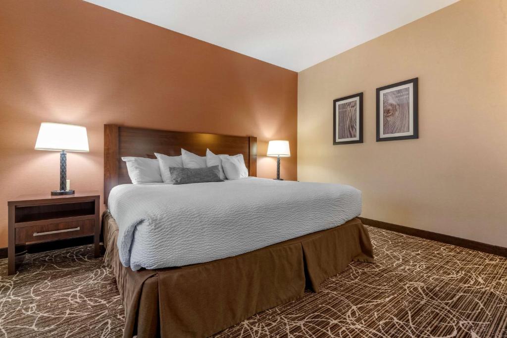 Best Western Plus Chelsea Hotel - Suite Con Due Camere Con Letto King Size