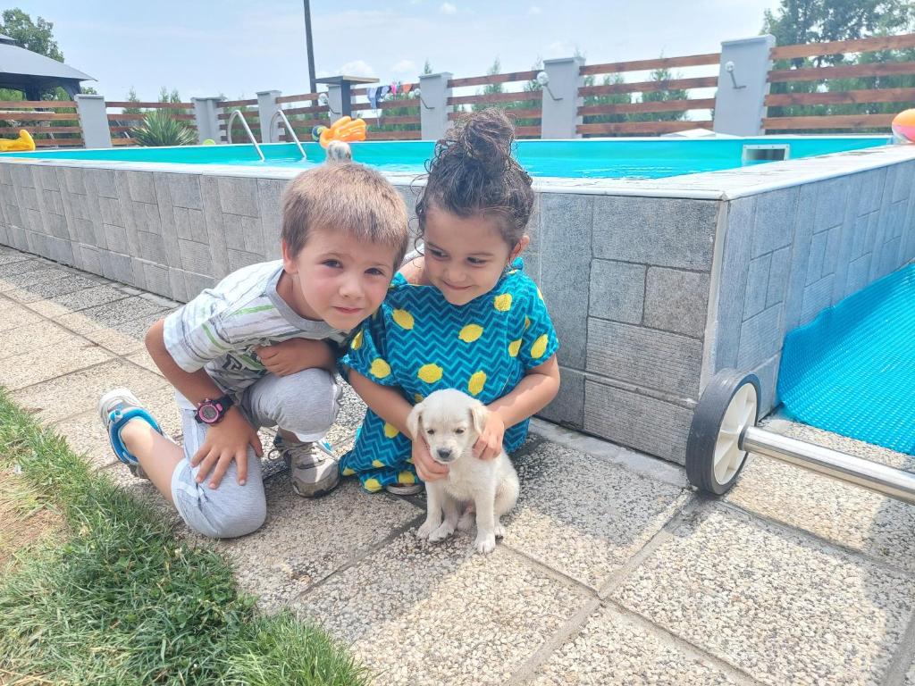 Domácí mazlíčci ubytovaní s hosty v ubytování Vila Boba Bor