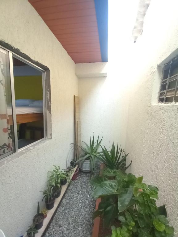 Zahrada ubytování Ekolores Hostal - PARQUE DEL CAFÉ - 313-468-08-41