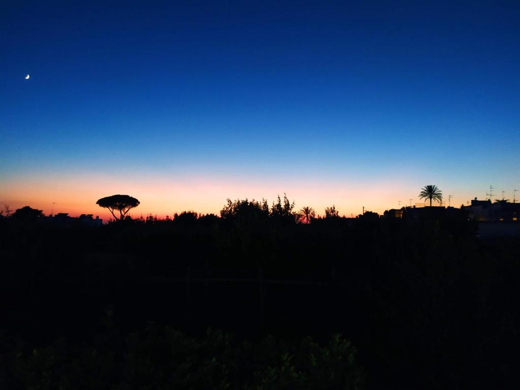Un angolo di paradiso nel centro di Anacapri - 两居室房屋