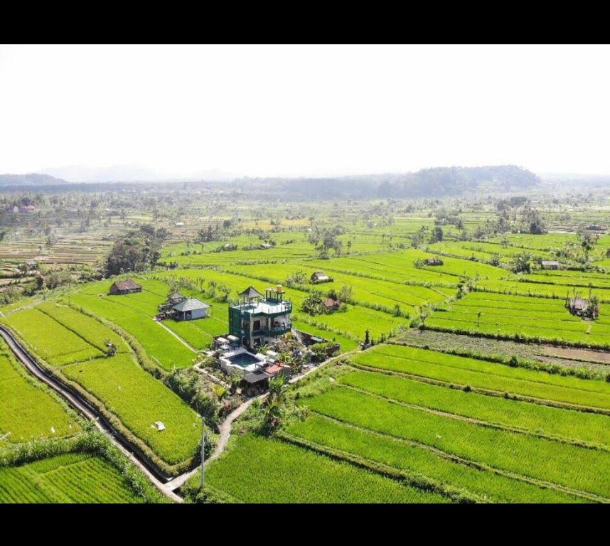 an aerial view of a house in a field at GumiBali Villa in Tirtagangga