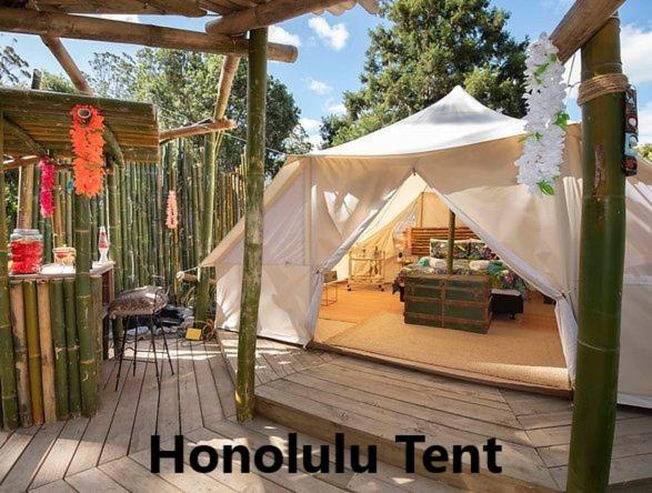 Fotografie z fotogalerie ubytování Kerikeri Glamping v destinaci Kerikeri
