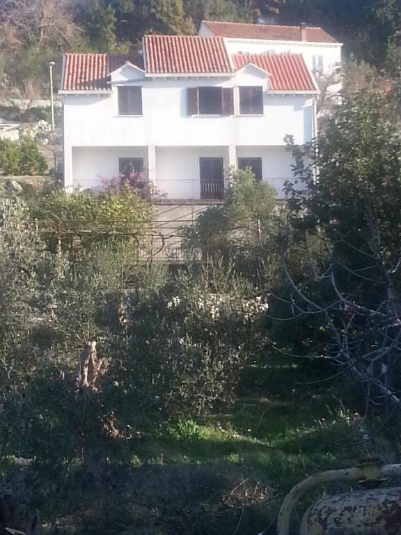 Vonkajšia záhrada v ubytovaní Apartments by the sea Sladjenovici, Dubrovnik - 11531