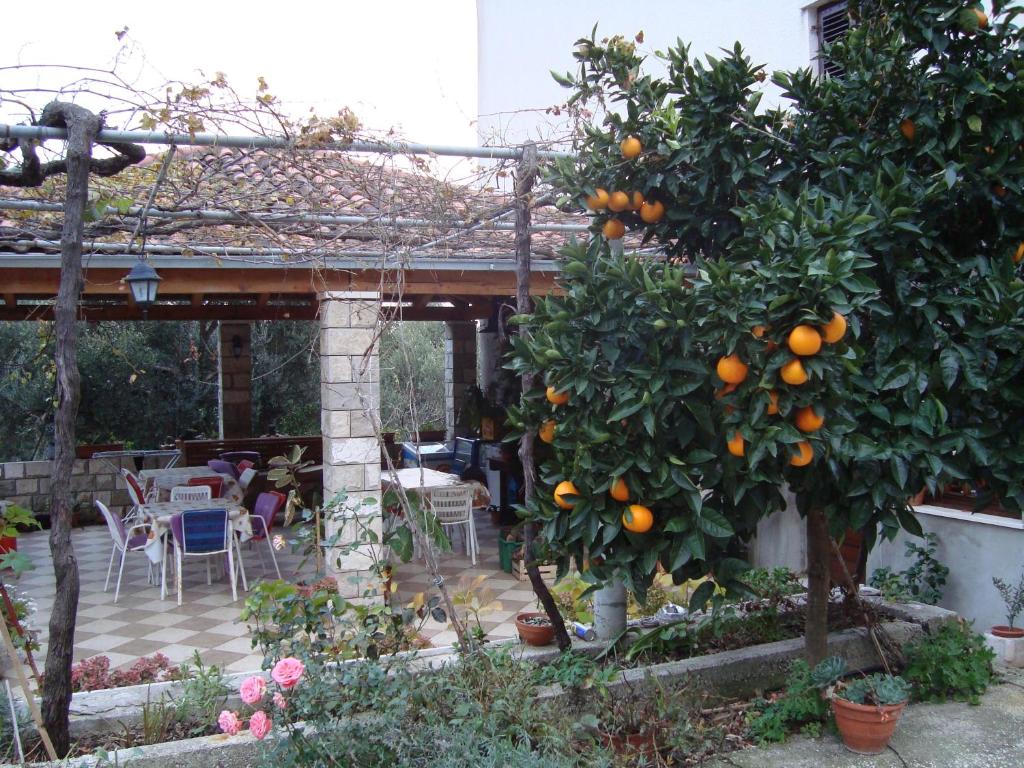Vonkajšia záhrada v ubytovaní Apartments by the sea Sladjenovici, Dubrovnik - 11531