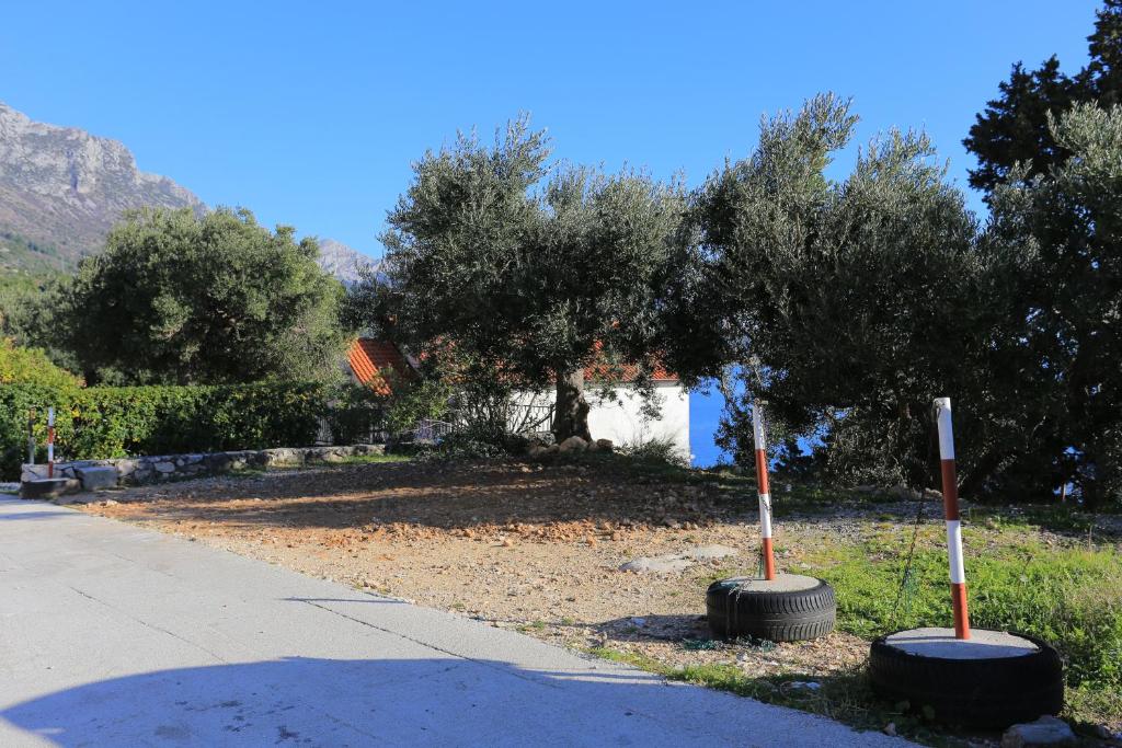 Príroda v okolí apartmánu