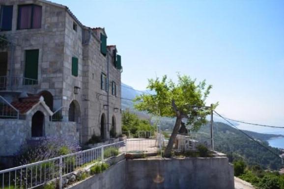 Príroda v okolí apartmánu
