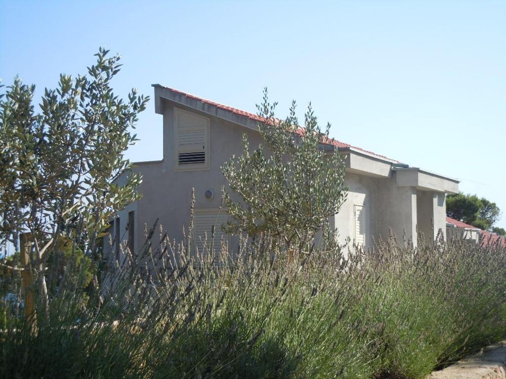 Fotografia z galérie ubytovania Apartments by the sea Sveta Nedilja, Hvar - 13753 v destinácii Jelsa