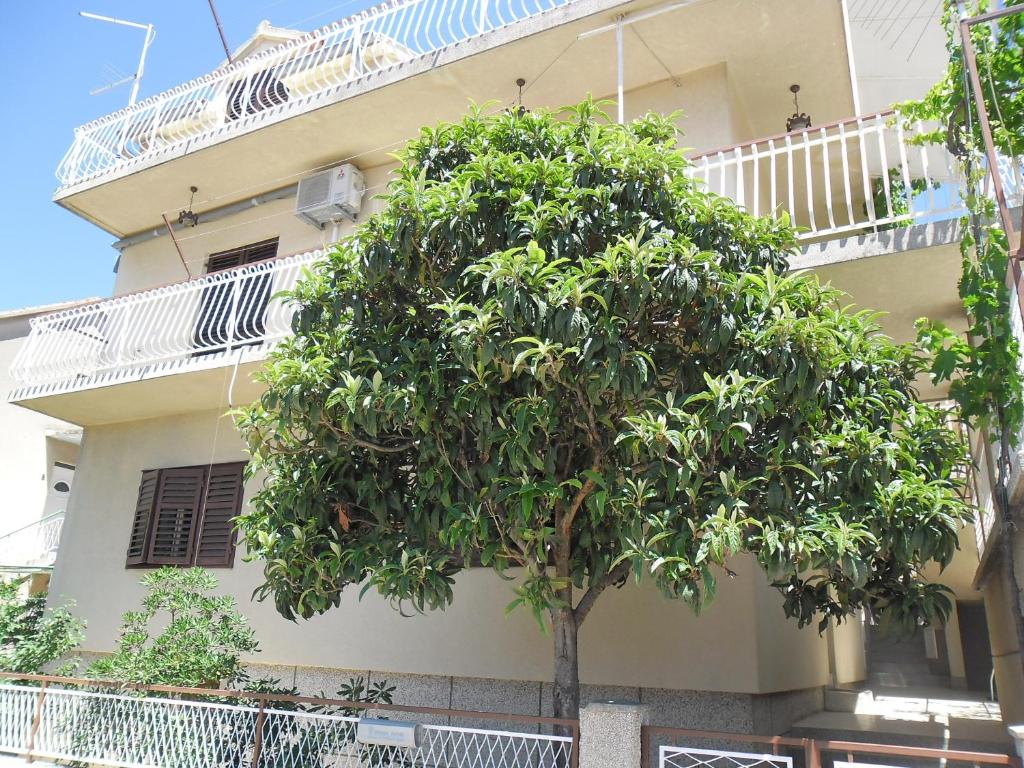 un edificio con un árbol delante de él en Apartments with WiFi Sibenik - 13818, en Šibenik