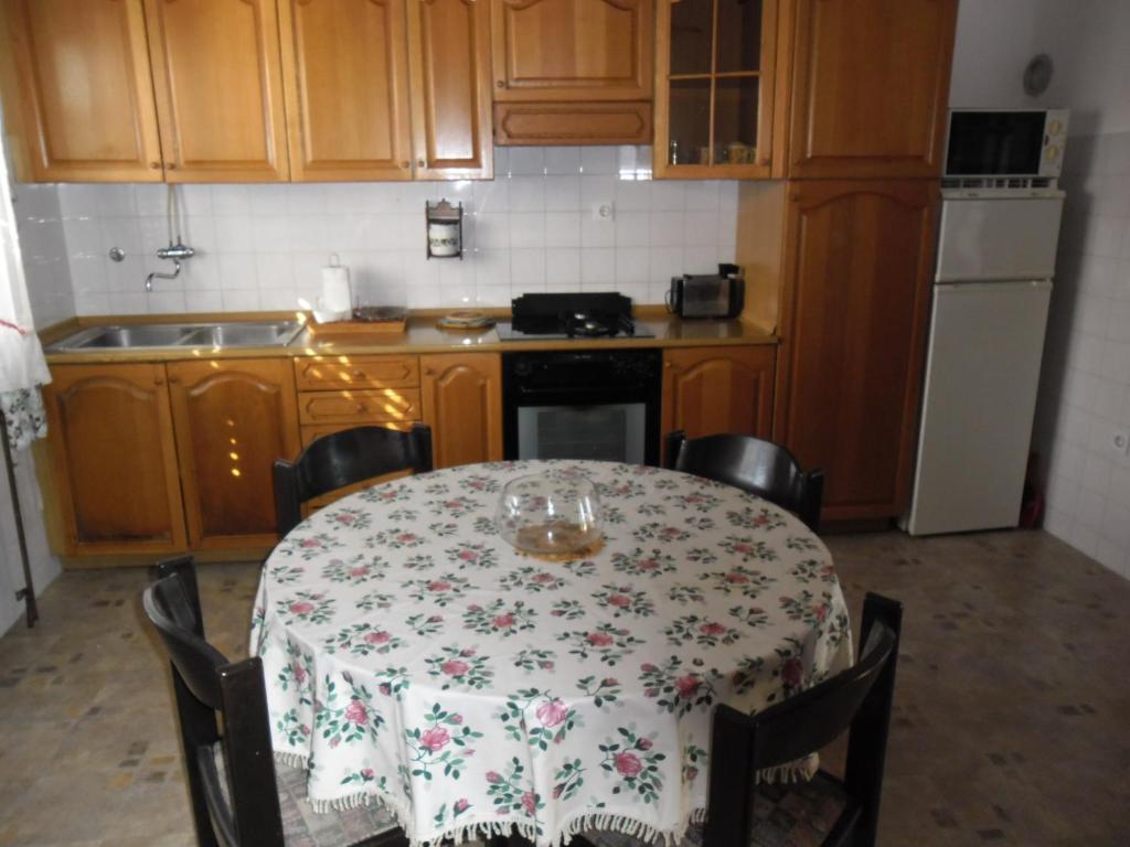 Kuchyňa alebo kuchynka v ubytovaní Apartments with WiFi Sibenik - 13818