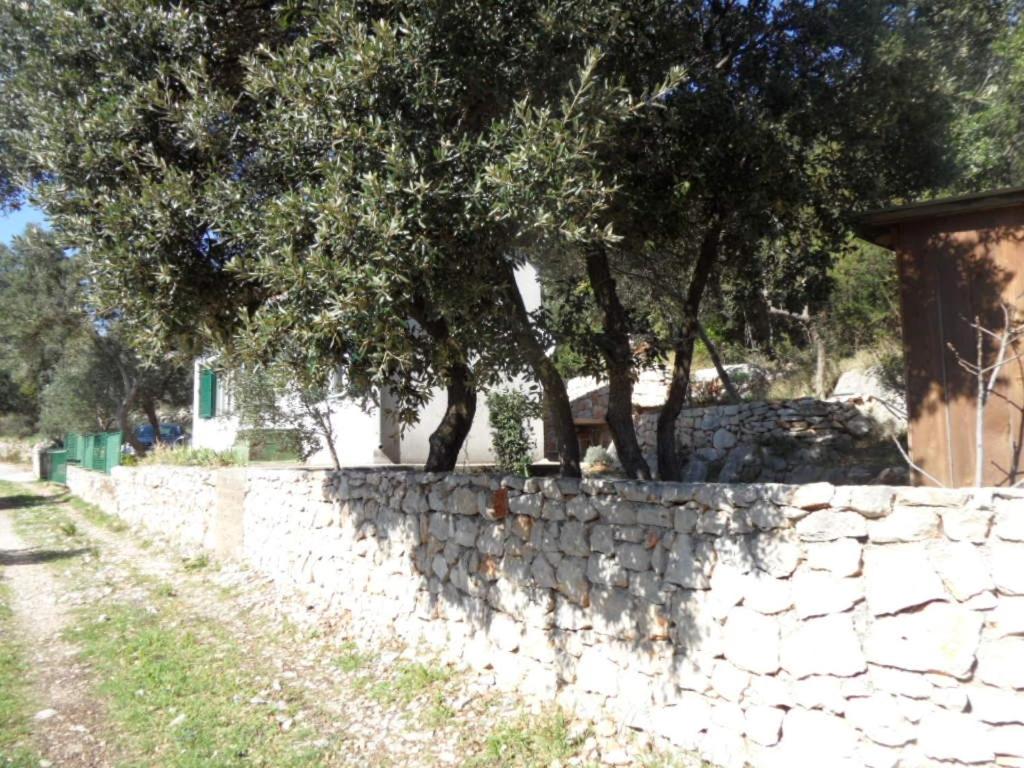 Fotografia z galérie ubytovania Holiday house with a parking space Mokalo, Peljesac - 13835 v destinácii Orebić