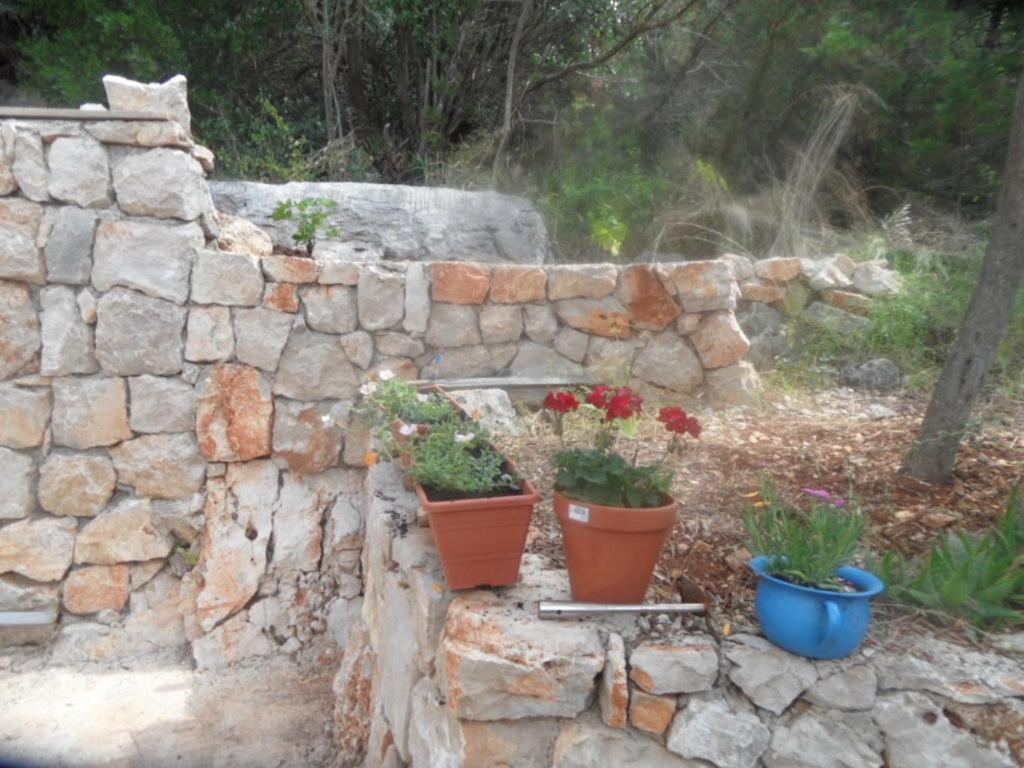 Fotografia z galérie ubytovania Holiday house with a parking space Mokalo, Peljesac - 13835 v destinácii Orebić