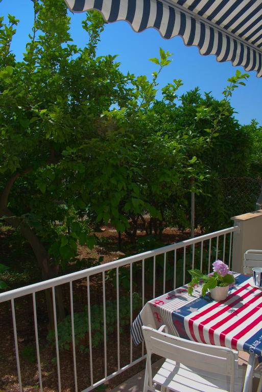 Fotografia z galérie ubytovania Apartments by the sea Podgora, Makarska - 13864 v Podgore