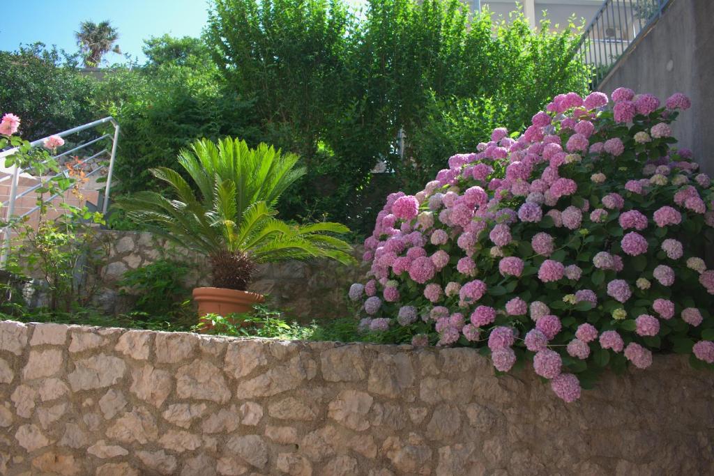 Fotografia z galérie ubytovania Apartments by the sea Podgora, Makarska - 13864 v Podgore