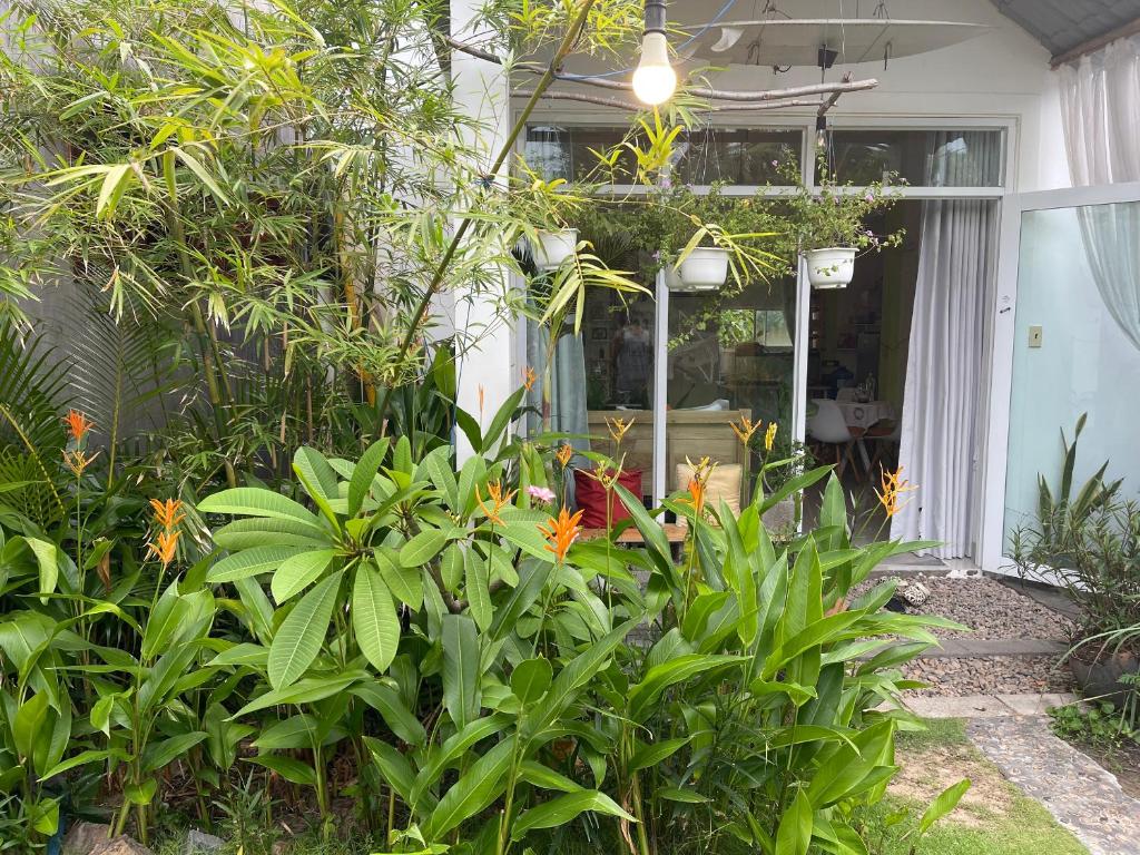 Vườn quanh BinhYen Homestay