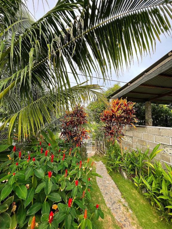 Vườn quanh BinhYen Homestay